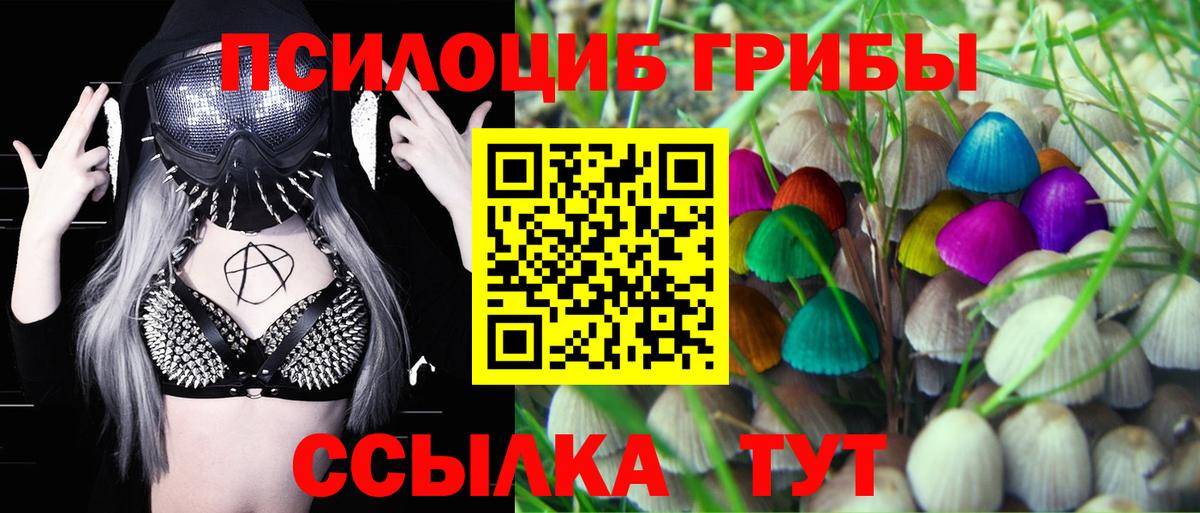Галлюциногенные грибы прущие грибы  Вход с VPN  Брянск 